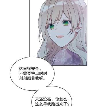 绿荫之冠44.伪造身份