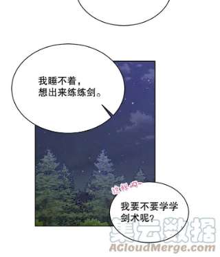 绿荫之冠44.伪造身份