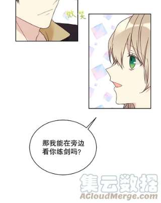 绿荫之冠44.伪造身份