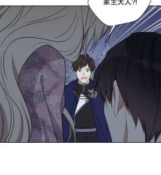 绿荫之冠44.伪造身份