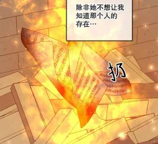 绿荫之冠44.伪造身份