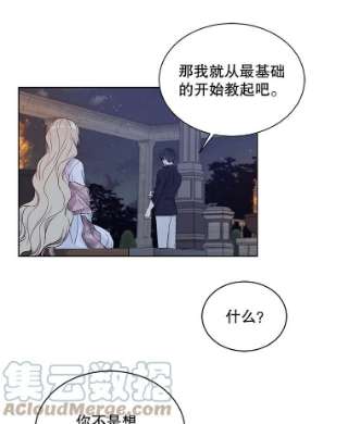 绿荫之冠44.伪造身份