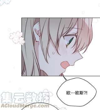 绿荫之冠44.伪造身份