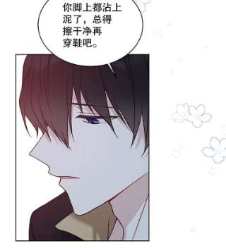 绿荫之冠44.伪造身份