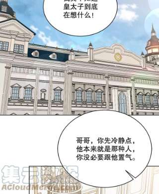 绿荫之冠44.伪造身份