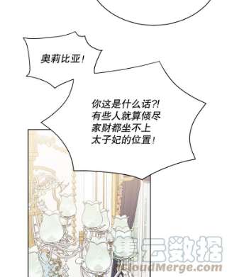 绿荫之冠44.伪造身份