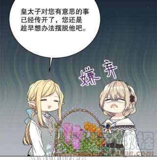 绿荫之冠44.伪造身份