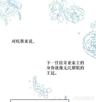 绿荫之冠46.舞伴