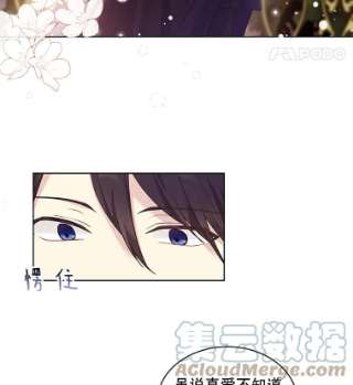 绿荫之冠46.舞伴