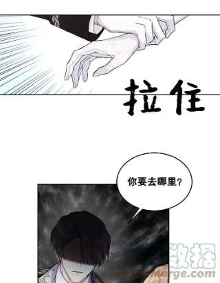 绿荫之冠46.舞伴