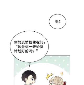 绿荫之冠48.制造舆论计划