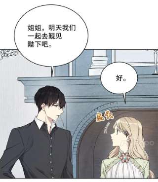 绿荫之冠48.制造舆论计划