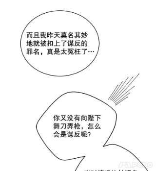 绿荫之冠49.决斗