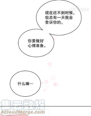 绿荫之冠49.决斗