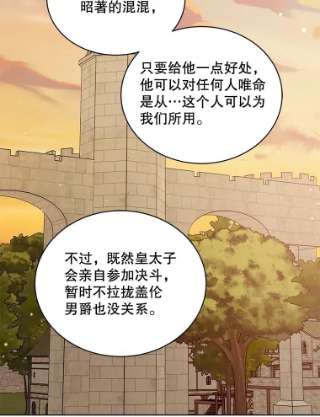 绿荫之冠49.决斗