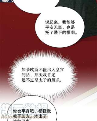 绿荫之冠49.决斗