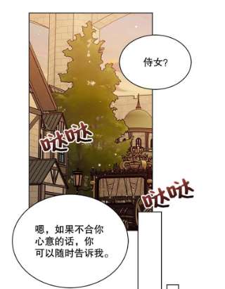 绿荫之冠49.决斗