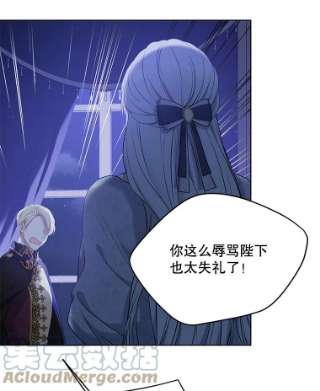 绿荫之冠49.决斗