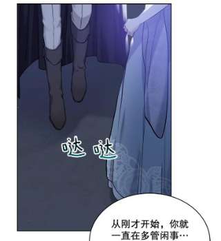 绿荫之冠49.决斗