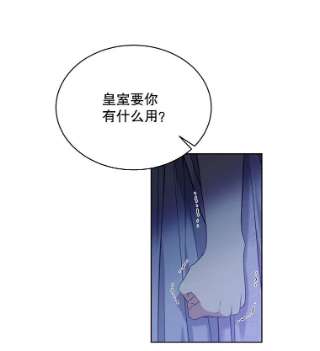 绿荫之冠49.决斗