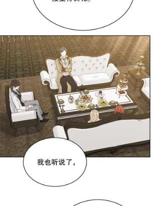 绿荫之冠49.决斗