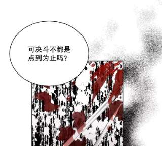 绿荫之冠49.决斗