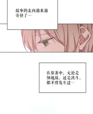 绿荫之冠49.决斗