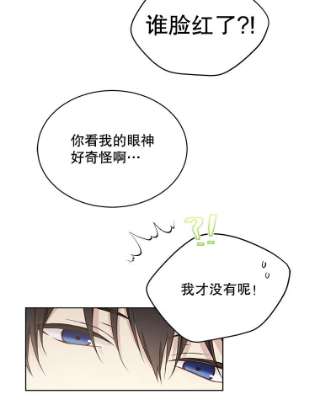 绿荫之冠50.计划离开