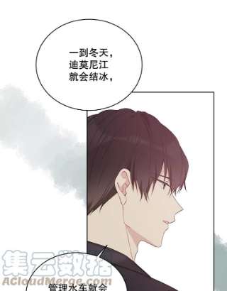 绿荫之冠50.计划离开
