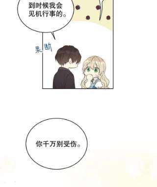 绿荫之冠50.计划离开