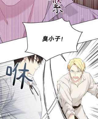 绿荫之冠52.展开决斗