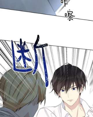 绿荫之冠52.展开决斗