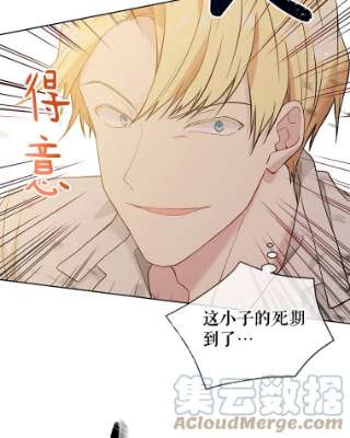 绿荫之冠52.展开决斗