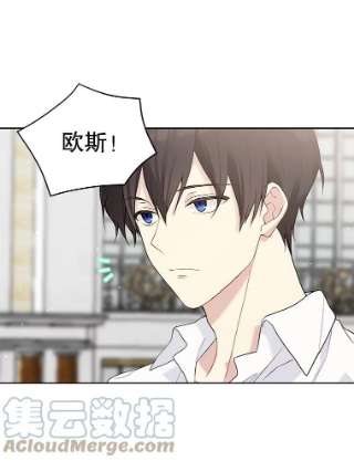 绿荫之冠52.展开决斗