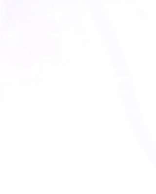 绿荫之冠54.庭院下午茶