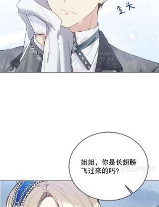 绿荫之冠54.庭院下午茶