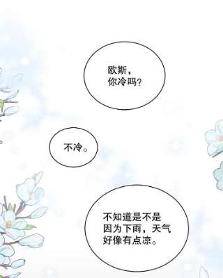 绿荫之冠54.庭院下午茶