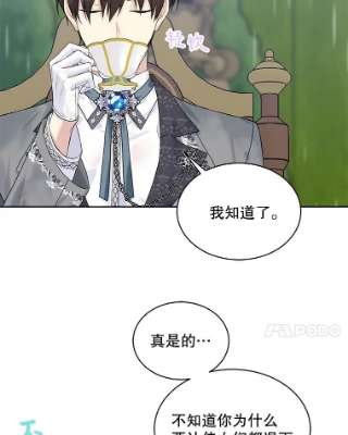 绿荫之冠54.庭院下午茶