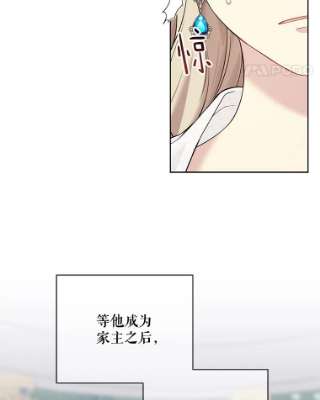 绿荫之冠54.庭院下午茶