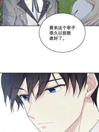 绿荫之冠54.庭院下午茶