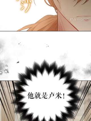 绿荫之冠55.亲自见面