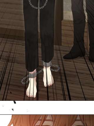 绿荫之冠55.亲自见面