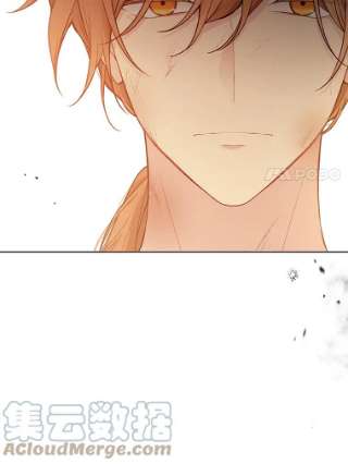 绿荫之冠55.亲自见面