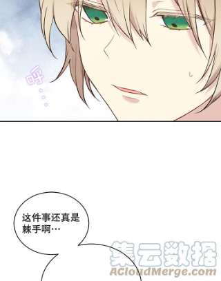 绿荫之冠55.亲自见面