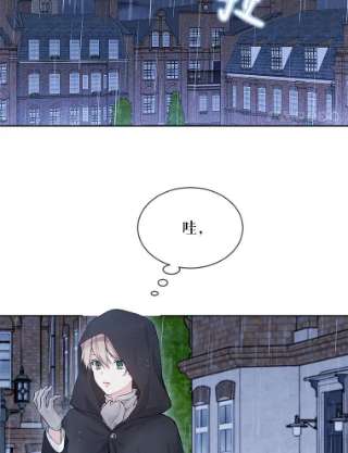 绿荫之冠55.亲自见面