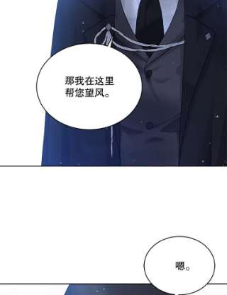 绿荫之冠55.亲自见面