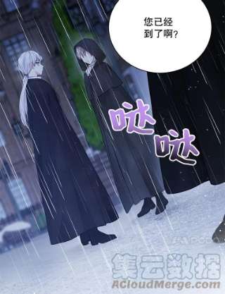 绿荫之冠55.亲自见面