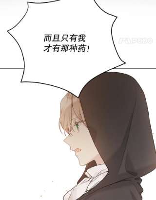 绿荫之冠56.见到卢米