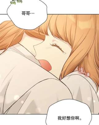 绿荫之冠57.救出卢米