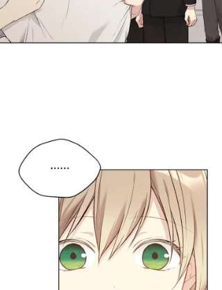 绿荫之冠58.选择